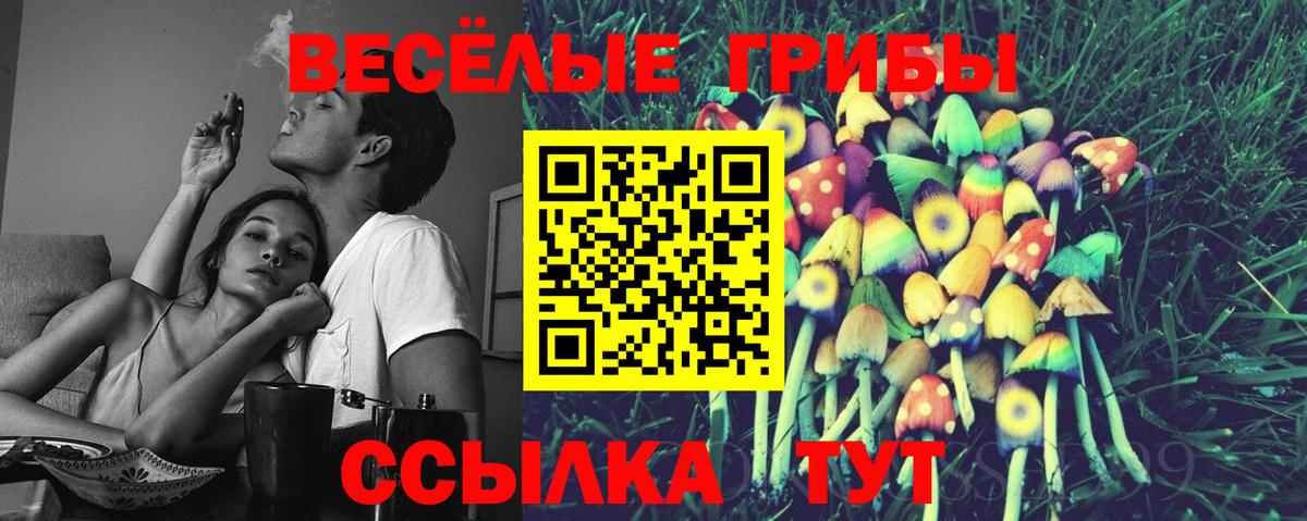Галлюциногенные грибы мицелий Мариинск