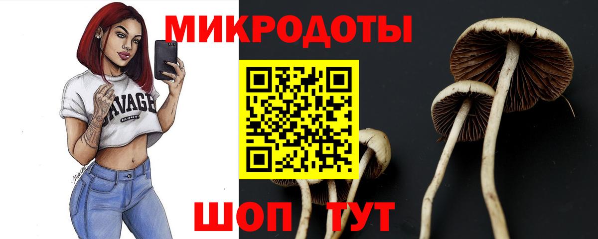 Псилоцибиновые грибы мицелий  как найти закладки  Вход с VPN  Мариинск  Галлюциногенные грибы Psilocybine cubensis 